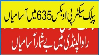 PO Box 635 Rawalpindi Jobs 2024 Online Apply | www.careers635.com.pk
