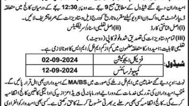 Government Graduate College For Women Faisalabad Jobs 2024