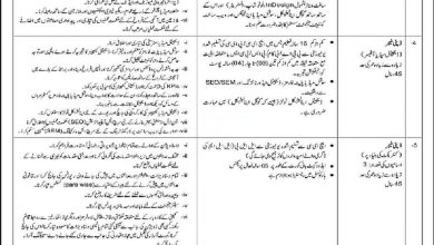 Latest State Bank Of Pakistan SBP Karachi Jobs 2024