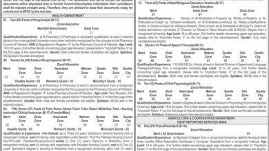 Advertisement No 13/2024 For Jobs At BPSC