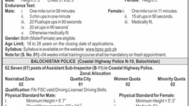 Advertisement No 12/2024 For Jobs At BPSC