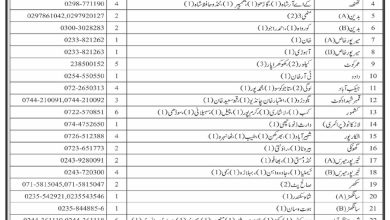PPHI Sindh Karachi Jobs 2024