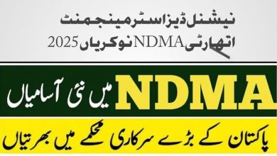 National Disaster Management Authority NDMA Jobs 2025