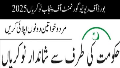 Punjab Urban Land Systems Enhancement PULSE Jobs 2025