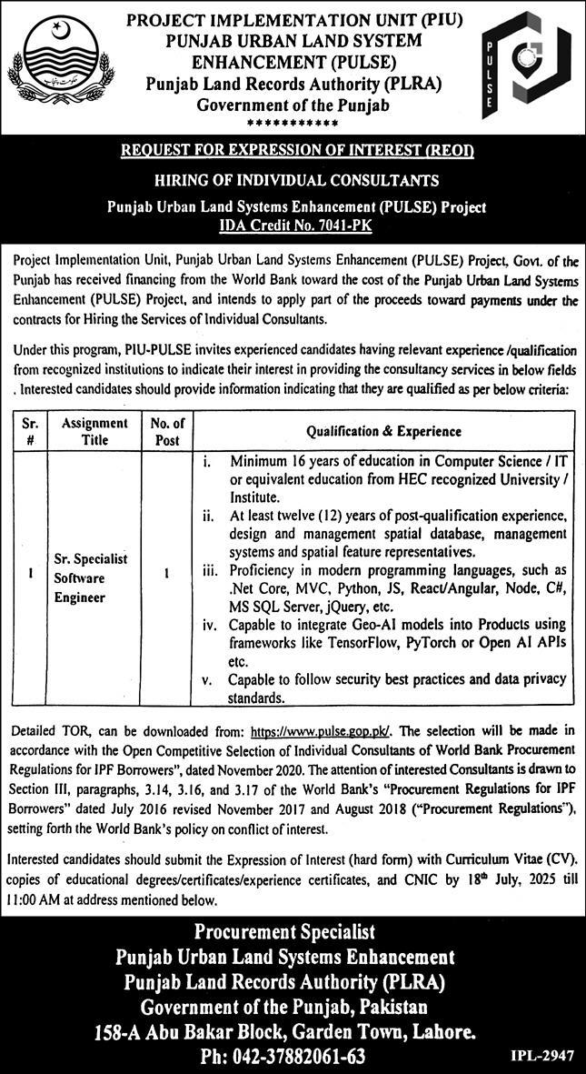 Punjab Urban Land Systems Enhancement PULSE Jobs 2025