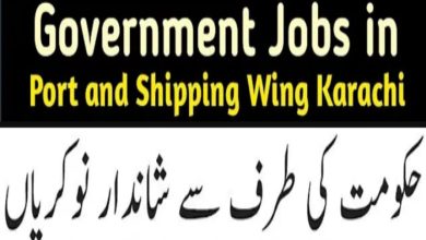 Directorate General Port & Shipping Wing Karachi Jobs 2025
